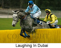 Laughing In Dubai (15087 bytes)
