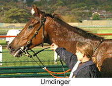 Umdinger (18070 bytes)